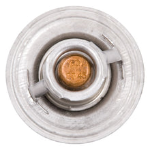 Load image into Gallery viewer, Photo - Unmounted