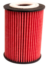 Load image into Gallery viewer, K&N Oil Filter Automotive 20-26 Great Wall Cannon