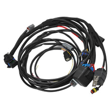 Load image into Gallery viewer, Edelbrock 15-17 Ford Coyote Pro-Flo 4+ EFI Engine Management System
