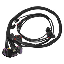 Load image into Gallery viewer, Edelbrock 15-17 Ford Coyote Pro-Flo 4+ EFI Engine Management System