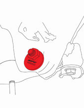 Load image into Gallery viewer, Line Art