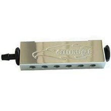 Load image into Gallery viewer, Golden Eagle GVM100-P