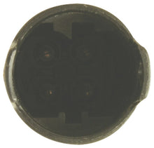 Load image into Gallery viewer, NGK NGK25586 10087295255862