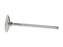 Load image into Gallery viewer, Manley 92-00 Acura Integra / 99-00 Honda Civic 16 Valve 33.0mm Race Flo F/F Intake Valve (SINGLE)

