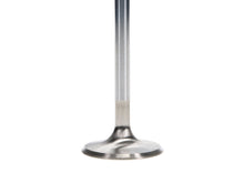 Load image into Gallery viewer, Manley Ford 4.6L DOHC (4 Valve) Triple Groove 37mm Race Master Intake Valves - Single
