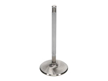 Load image into Gallery viewer, Manley Chrysler Hemi 6.1L w/ Triple Groove 2.100in Race Flo Intake Valves (Single Valve)
