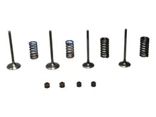 Load image into Gallery viewer, Wiseco 08-09 CRF250R Steel Valve Set
