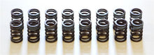 Load image into Gallery viewer, HKS 91-00 Infiniti G20 SR20DET Outer Valve Spring Set
