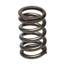 Load image into Gallery viewer, Manley Dodge SRT-4 16pc Valve Springs
