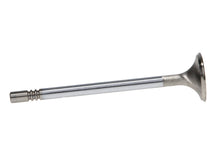 Load image into Gallery viewer, Manley 99-12 Ford 4.6L/281 5.4L/330 V8 37mm Race Series Stainless Steel Intake Valve - Single
