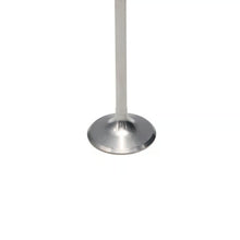 Load image into Gallery viewer, Wiseco 10-17 Honda CRF250R Titanium Intake Valve
