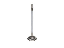 Load image into Gallery viewer, Manley Ford 4.6L DOHC (4 Valve) Triple Groove 30mm Race Master Exhaust Valve *Single Valve*
