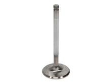 Load image into Gallery viewer, Manley 93-98 Toyota Land Cruiser 4.5L (1FZ-FE) 39.5mm Race Flo Intake Valves - Set of 12
