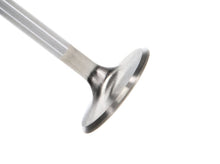 Load image into Gallery viewer, Manley Ford 4.6L DOHC (4 Valve) Triple Groove 37mm Race Master Intake Valves - Single
