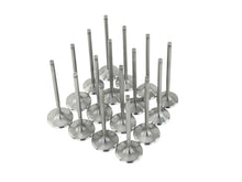 Load image into Gallery viewer, Photo - Unmounted
