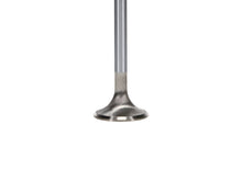 Load image into Gallery viewer, Manley Ford 4.6L DOHC (4 Valve) Triple Groove 30mm Race Master Exhaust Valve *Single Valve*
