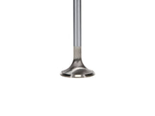 Load image into Gallery viewer, Manley 99-12 Ford 4.6L/281 5.4L/330 V8 37mm Race Series Stainless Steel Intake Valve - Single
