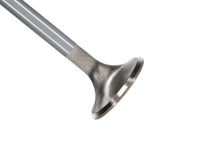 Load image into Gallery viewer, Manley 99-12 Ford 4.6L/281 5.4L/330 V8 37mm Race Series Stainless Steel Intake Valve - Single
