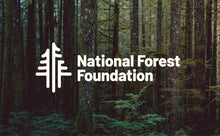 Load image into Gallery viewer, MagnaFlow 2023 Toyota Sequoia Overland Series Black Axle-Back Exhaust
