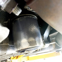 Load image into Gallery viewer, Photo - Mounted
