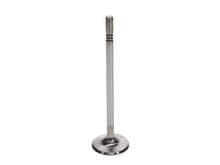 Load image into Gallery viewer, Manley Ford 4.6L DOHC (4 Valve) Triple Groove 37mm Race Master Intake Valves - Single
