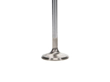 Load image into Gallery viewer, Manley up to 2010 Dodge Viper V-10 1.600 Dia .100 Longer Race Master Intake Valves (Set of 10)
