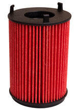 Load image into Gallery viewer, K&amp;N Oil Filter Automotive 21-26 Mazda BT50
