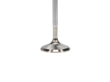 Load image into Gallery viewer, Manley Ford 2.3L EcoBoost Exhaust 33mm Stainless Race Master Valves

