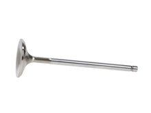 Load image into Gallery viewer, Manley Ford 2.3L EcoBoost Exhaust 33mm Stainless Race Master Valves
