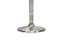 Load image into Gallery viewer, Manley Chrysler Hemi 6.1L w/ Triple Groove 2.100in Race Flo Intake Valves (Single Valve)
