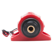 Load image into Gallery viewer, Photo - Unmounted
