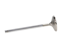 Load image into Gallery viewer, Manley Ford 2.3L EcoBoost Exhaust 33mm Stainless Race Master Valves
