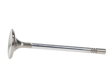 Load image into Gallery viewer, Manley Ford Racing Cylinder Head 4.6L &amp; 5.4L SOHC 36.0mm Race Master Exhaust Valve (Single)
