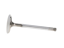 Load image into Gallery viewer, Manley Toyota Land Cruiser 4.5L (1FZ-FE) 38MM Race Flo Intake Valves

