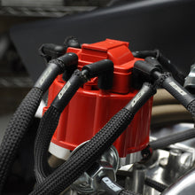 Load image into Gallery viewer, Photo - Mounted
