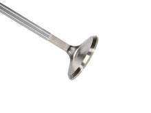 Load image into Gallery viewer, Manley Ford 2.3L EcoBoost Exhaust 33mm Stainless Race Master Valves
