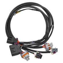 Load image into Gallery viewer, Edelbrock Chevy LS 58x Crank/Cam Pro-Flo 4+ EFI Ignition &amp; Engine Position Harness
