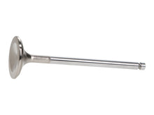Load image into Gallery viewer, Manley Ford 2.3L EcoBoost Exhaust 30.5mm Stainless Extreme Duty Valves

