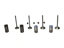 Load image into Gallery viewer, Wiseco 08-09 CRF250R Steel Valve Set
