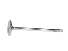 Load image into Gallery viewer, Manley Ford 4.6L DOHC (4 Valve) Triple Groove 37mm Race Master Intake Valves - Single
