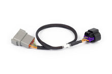 Load image into Gallery viewer, Haltech NEXUS Rebel LS 8-Pin DBW Adaptor (Plug-n-Play w/HT-186500)
