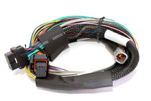 Load image into Gallery viewer, Haltech HALHT-151302
