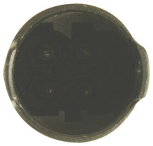 Load image into Gallery viewer, NGK NGK25542 10087295255428
