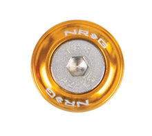 Load image into Gallery viewer, NRG NRGFW-110RG 680334404547
